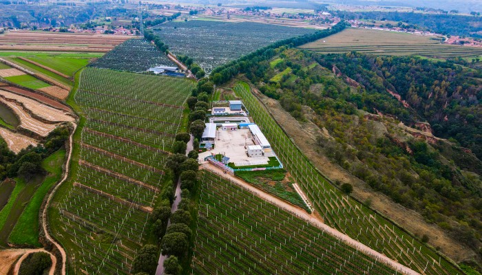 【國企改革深化提升行動(dòng)】守正創(chuàng)新 精業(yè)篤行 在聚焦高質(zhì)量發(fā)展中全面提升董事會(huì)建設(shè)運(yùn)行水平