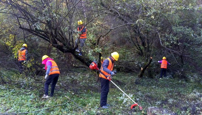 莊浪造林正當(dāng)時(shí)：生態(tài)公司奏響“三北”工程生態(tài)修復(fù)新樂章