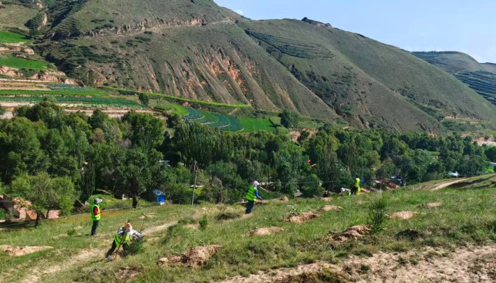 臨洮生態(tài)修復(fù)項目開啟“雙線作戰(zhàn)”模式